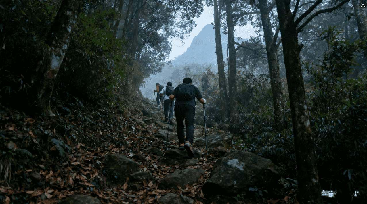 如何高效配置CSDN坚果加速器